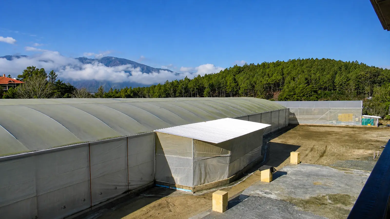 Vista exterior de los invernaderos de Hacienda Ana Miranda con las montañas de Constanza al fondo.