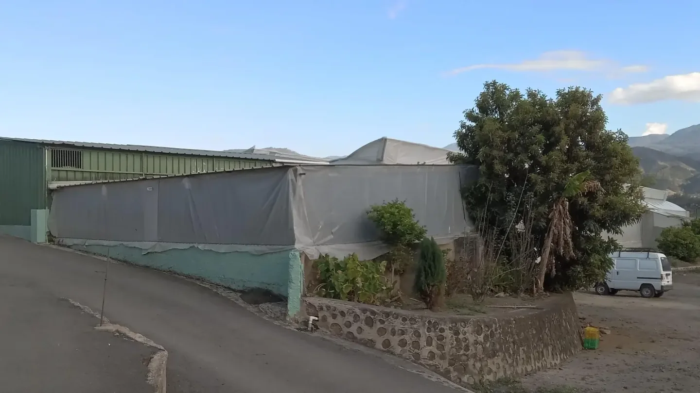 Vista exterior de las naves de invernadero de Hacienda Ana Miranda junto a la calle interna, con las montañas de Constanza al fondo.