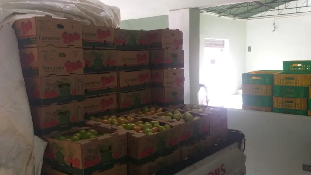 Área de empaque con cajas de tomate apiladas y cajas de campo listas para su manejo.