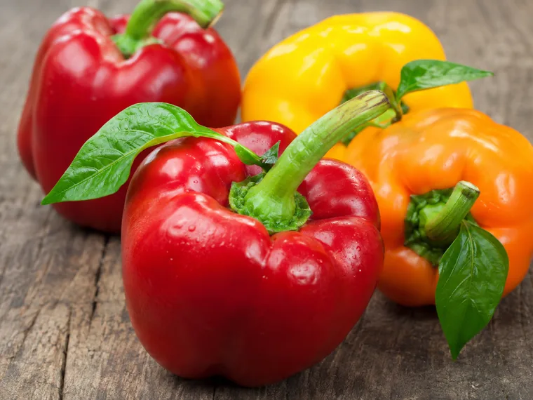 Imagen ilustrativa de pimiento.
